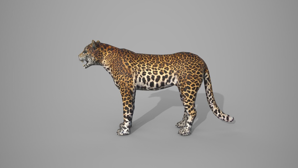 Wildlife Animal Pack