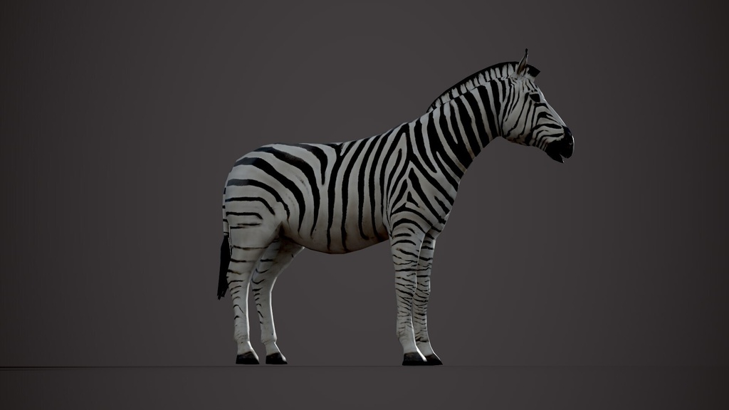 Wildlife Animal Pack