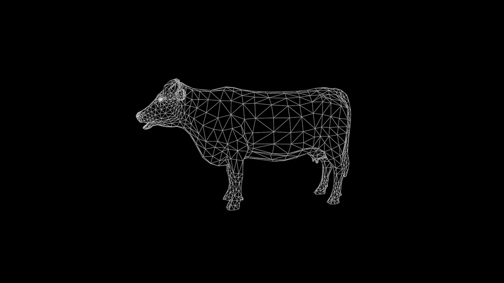 Wildlife Animal Pack