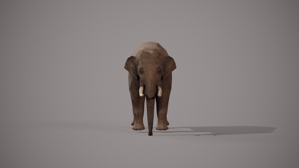 Wildlife Animal Pack
