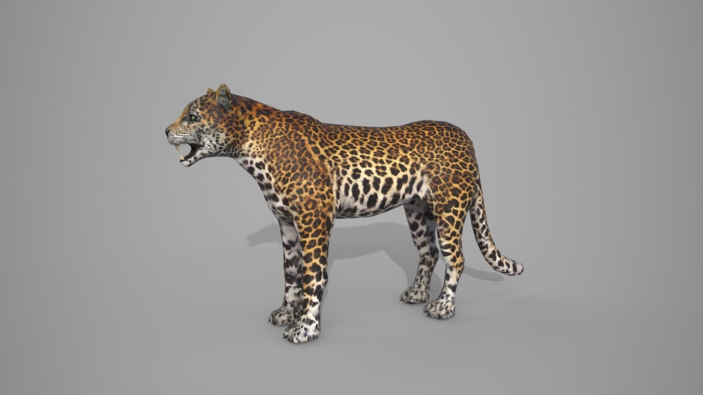 Wildlife Animal Pack