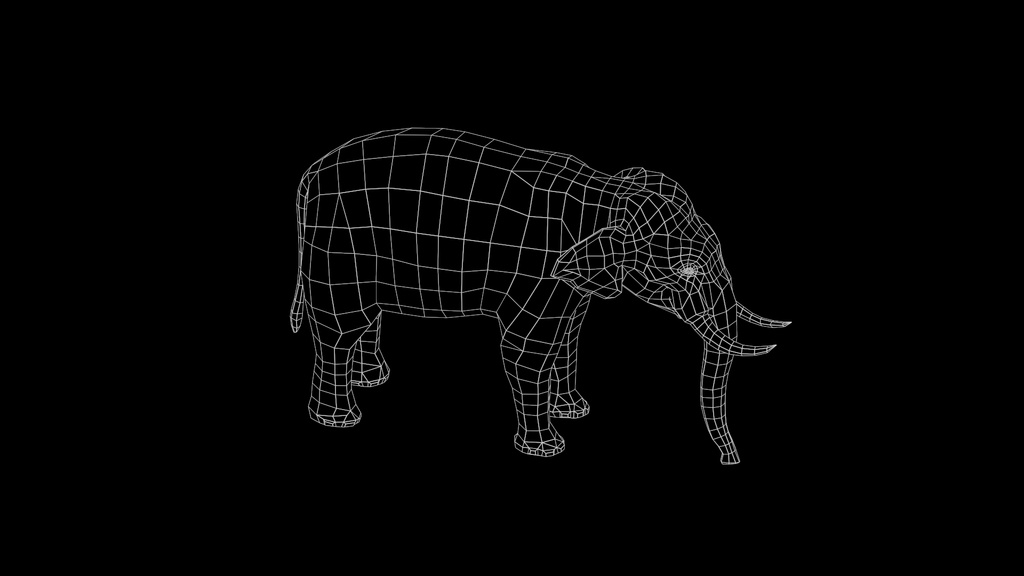Wildlife Animal Pack