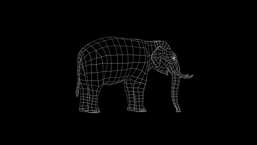 Wildlife Animal Pack