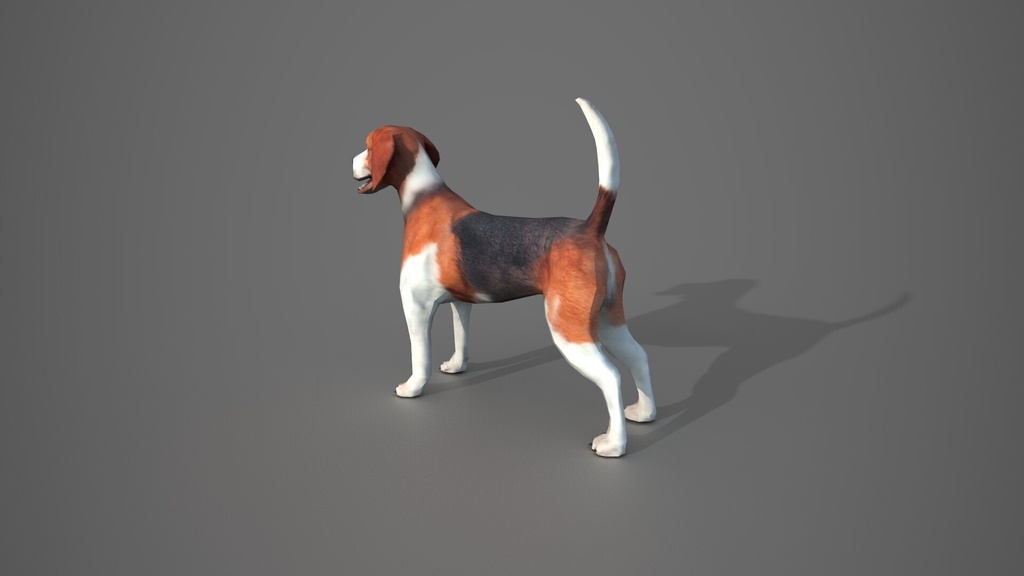 Wildlife Animal Pack