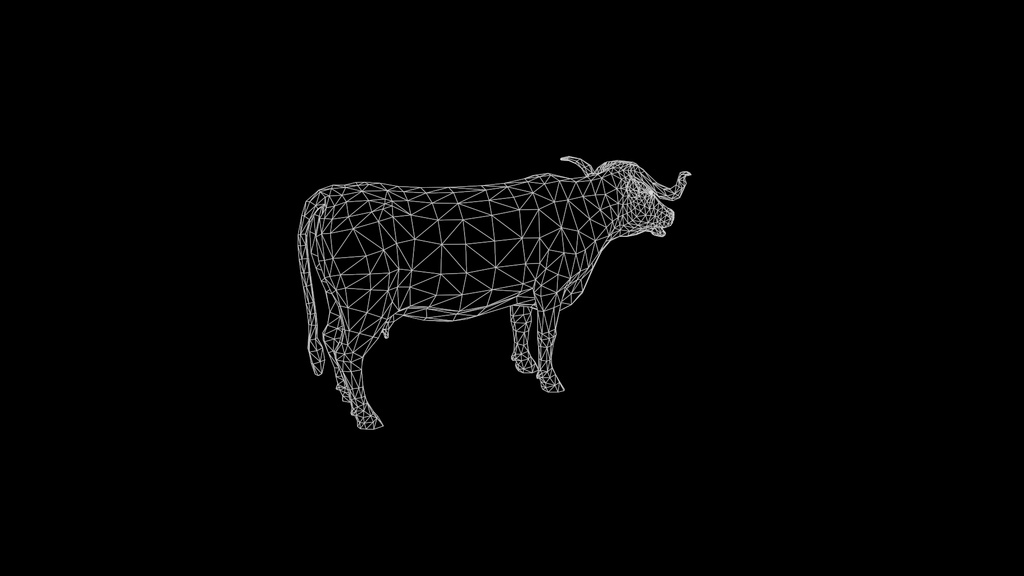 Wildlife Animal Pack