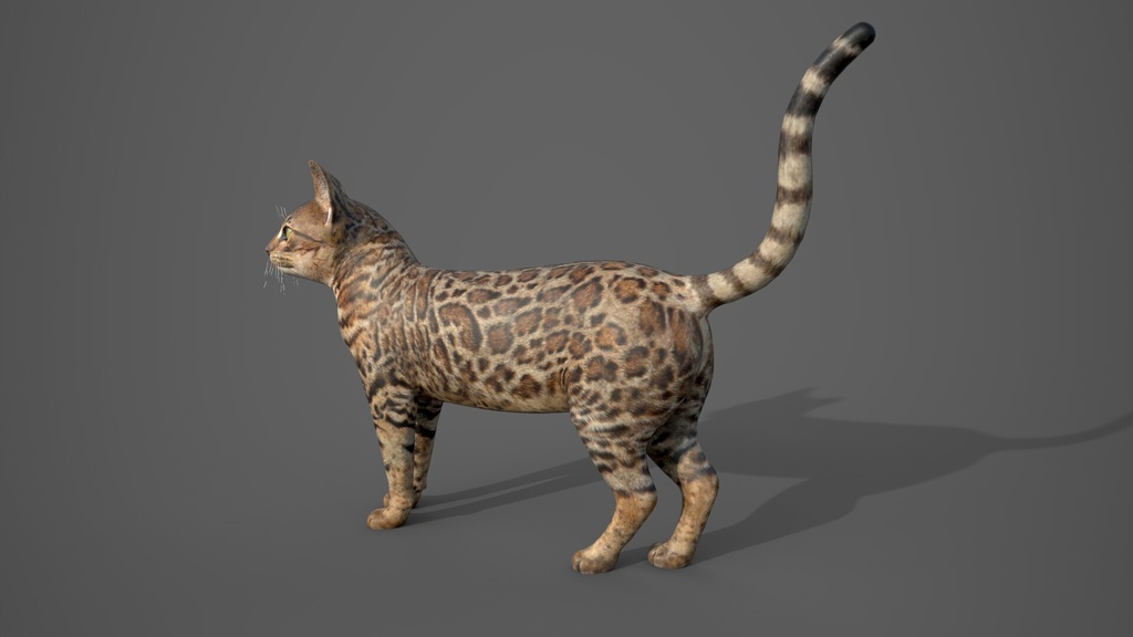 Wildlife Animal Pack