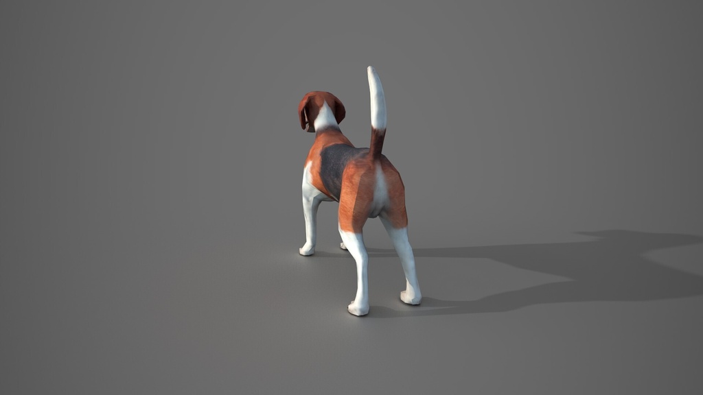 Wildlife Animal Pack