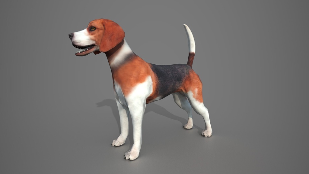 Wildlife Animal Pack