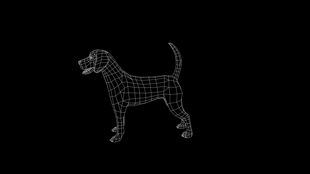 Wildlife Animal Pack
