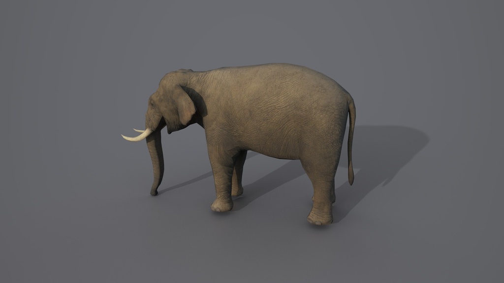 Wildlife Animal Pack