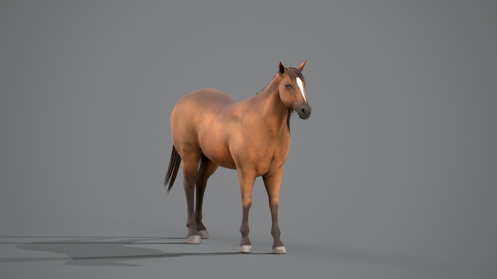 Wildlife Animal Pack