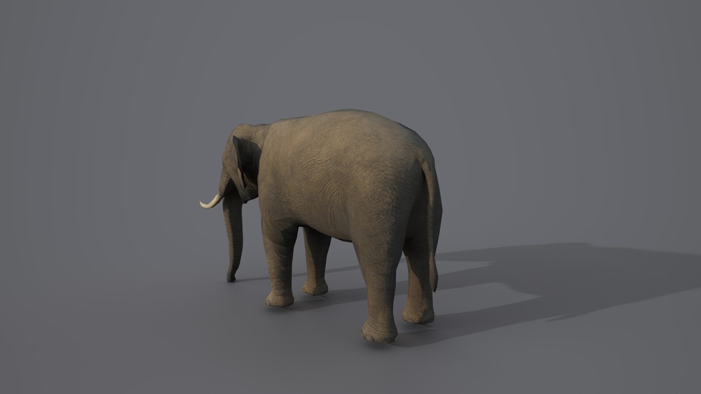 Wildlife Animal Pack