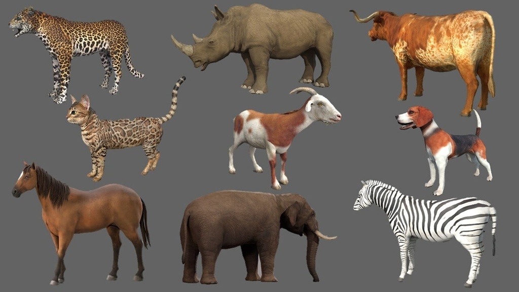 Wildlife Animal Pack