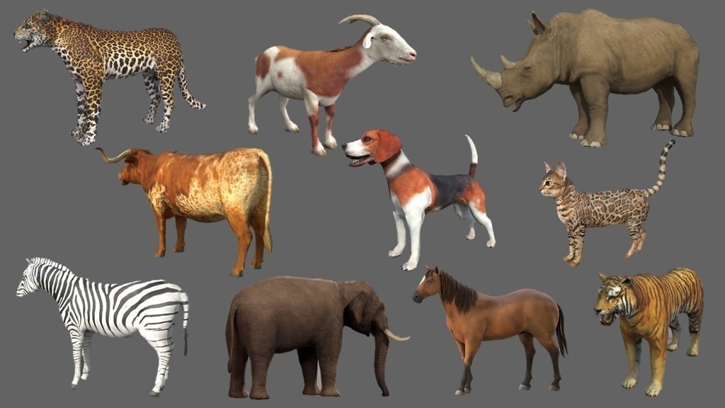 Wildlife Animal Pack