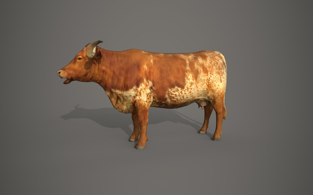 Wildlife Animal Pack
