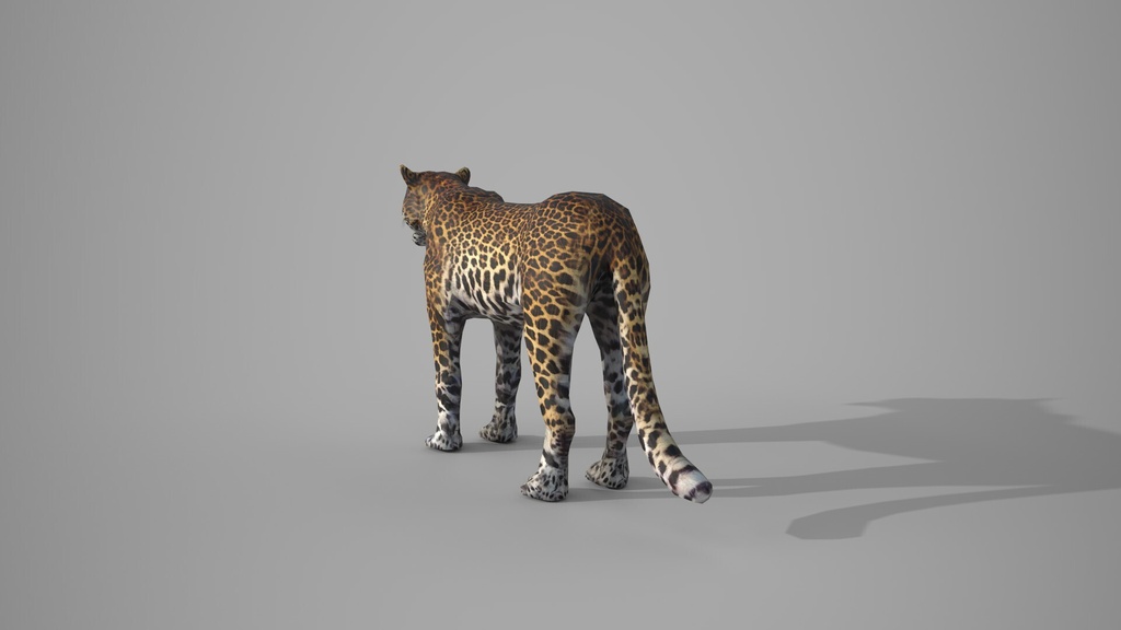 Wildlife Animal Pack