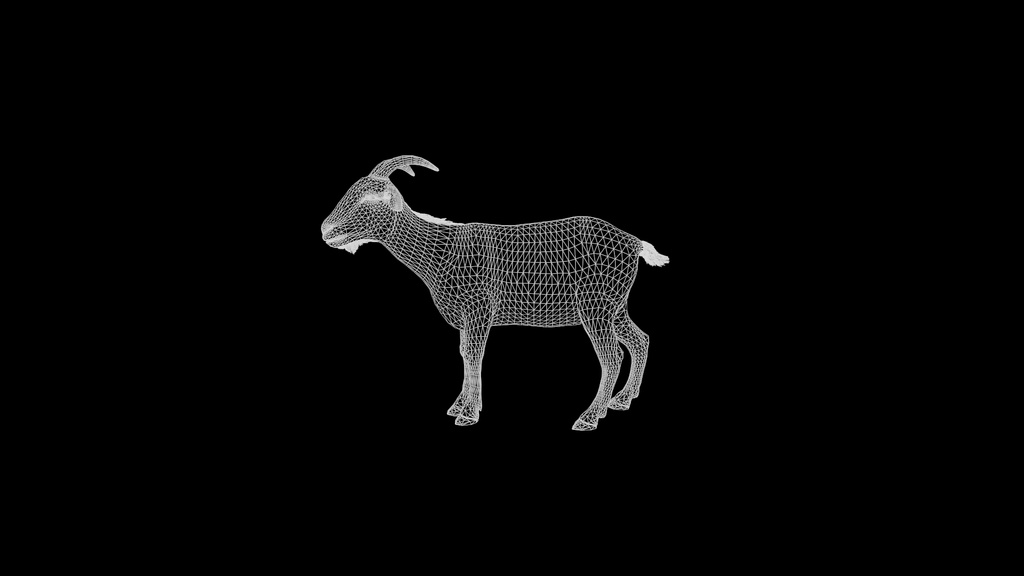 Wildlife Animal Pack