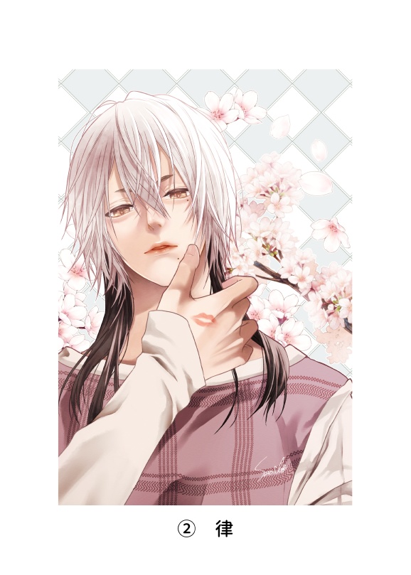 ポストカード(全4種)