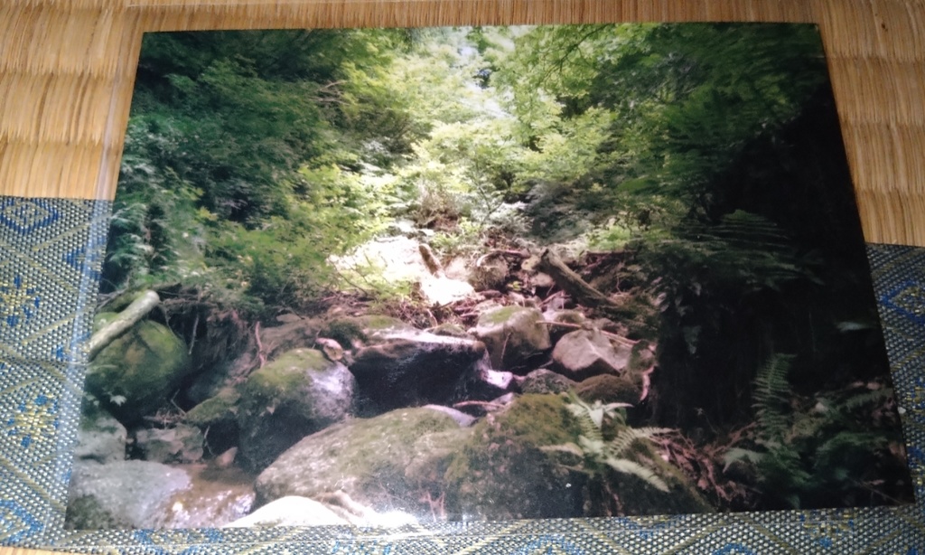 阿賀町風景L版写真　阿賀野川　9枚セット