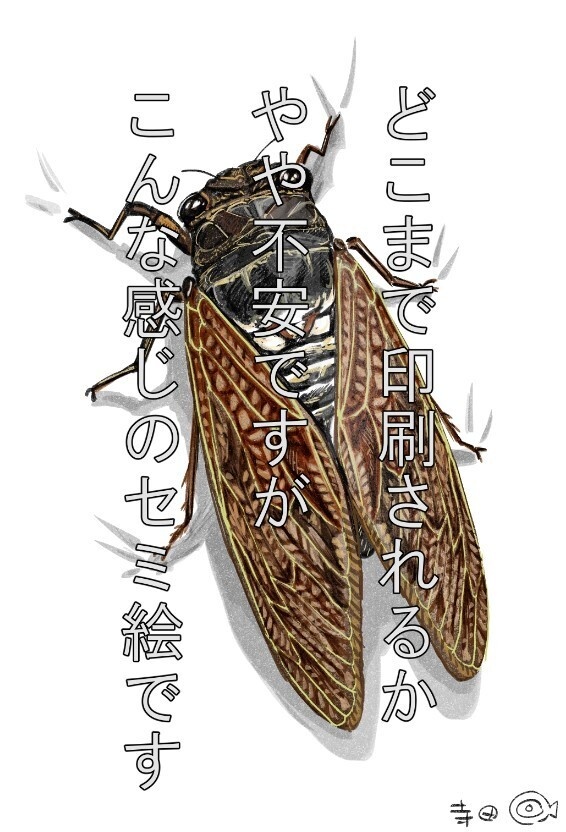 セミとまってるよTシャツ(短納期)