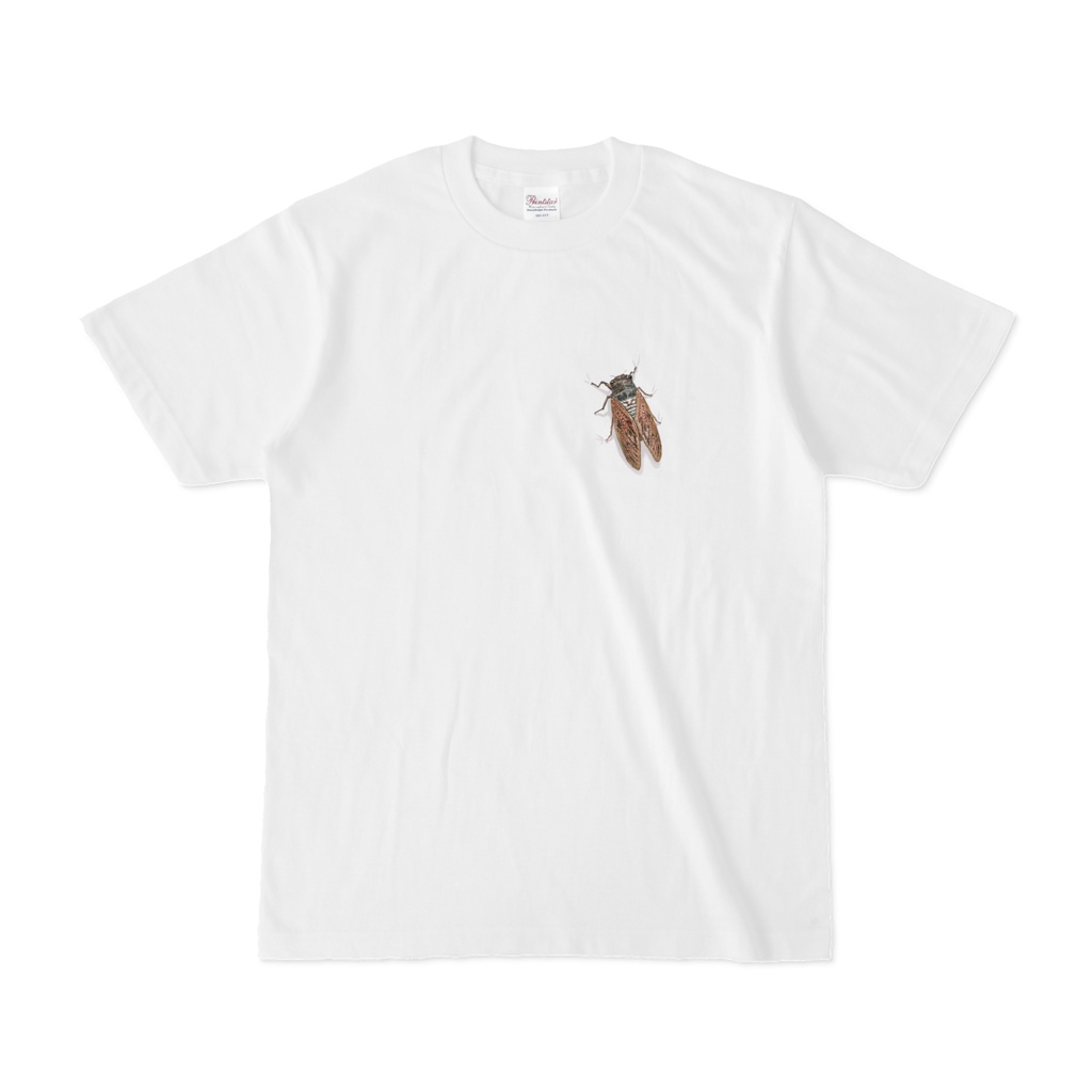 セミとまってるよTシャツ_胸～腹（Semi）