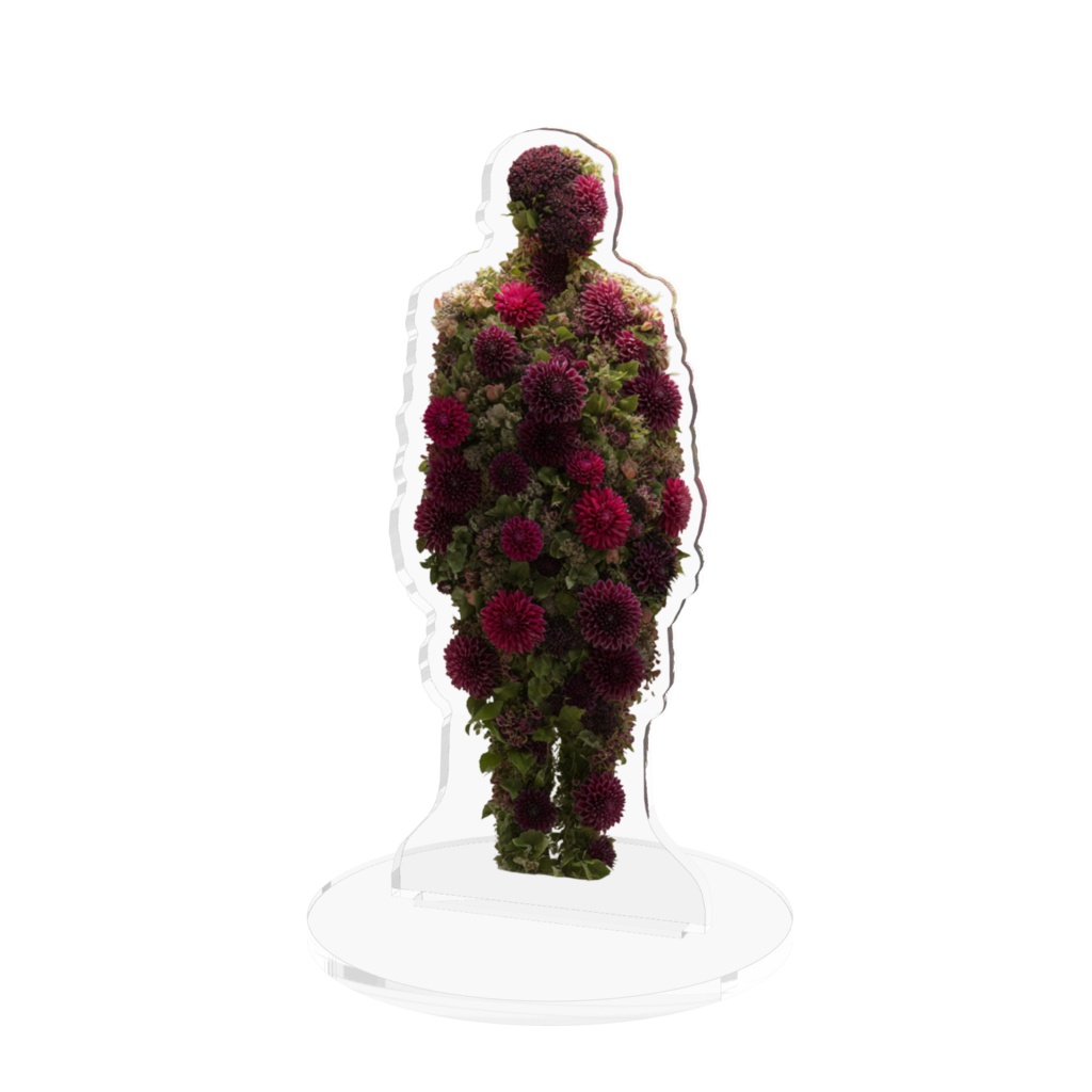 Floral Figure – Dahlia