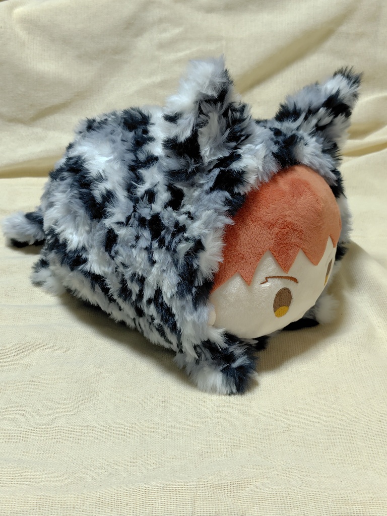 もちマスMS着ぐるみ 猫
