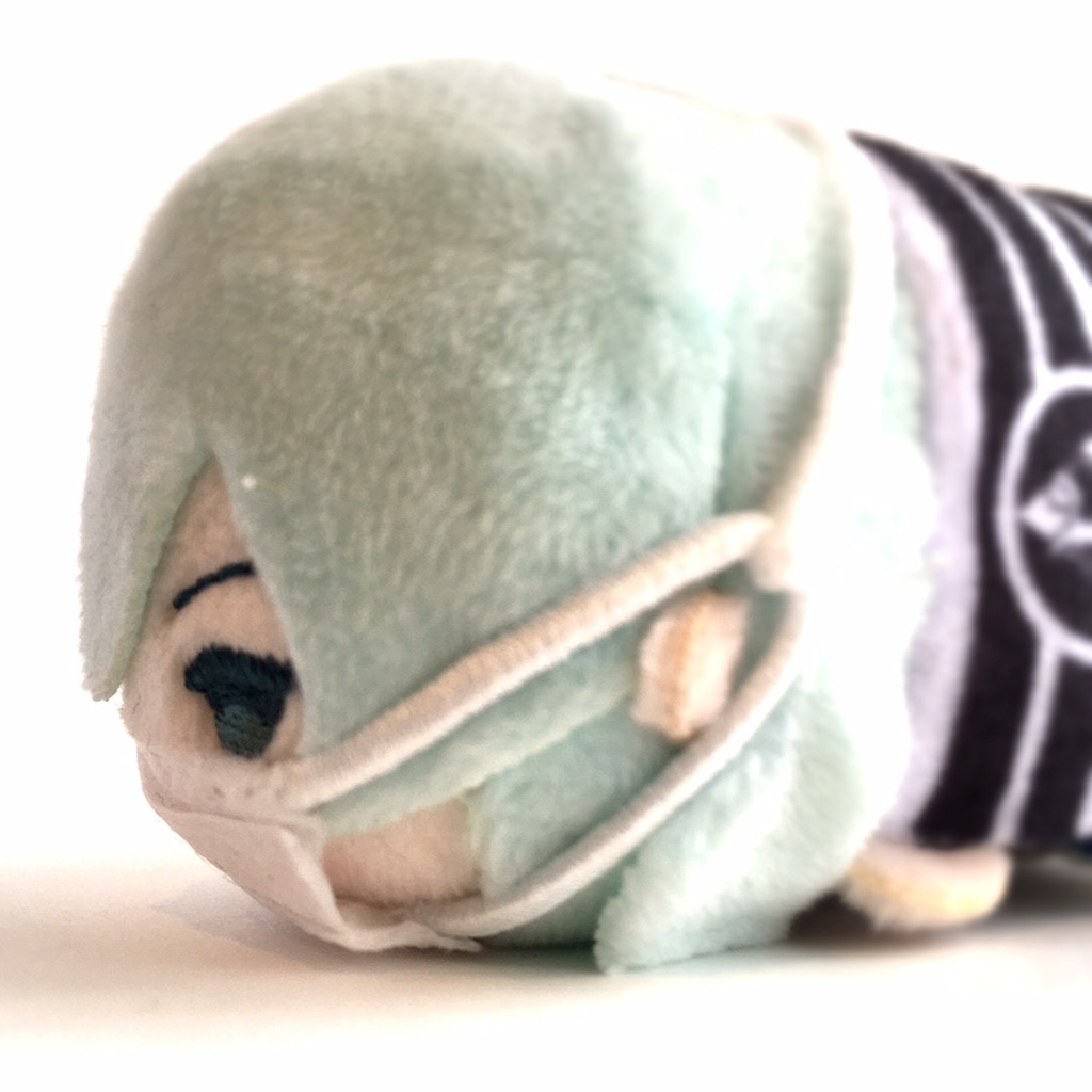 もちマス用マスク