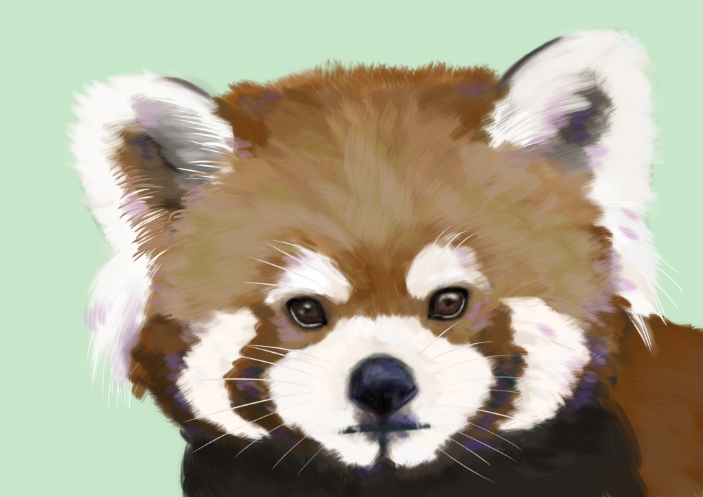 トートバッグ レッサーパンダ