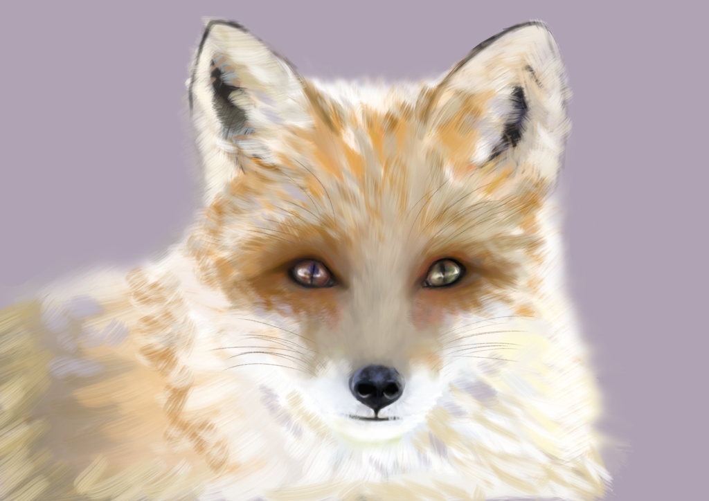 ロングスリーブTシャツ キタキツネ