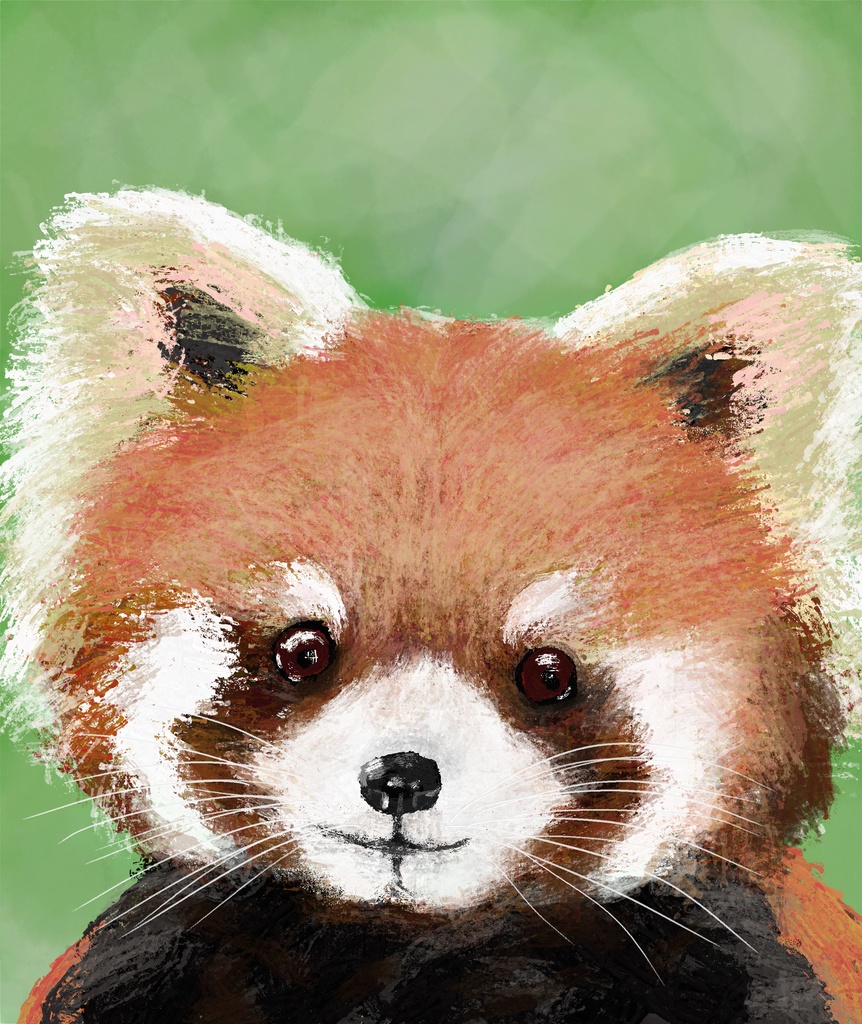 森の中のレッサーパンダ 白Tシャツ