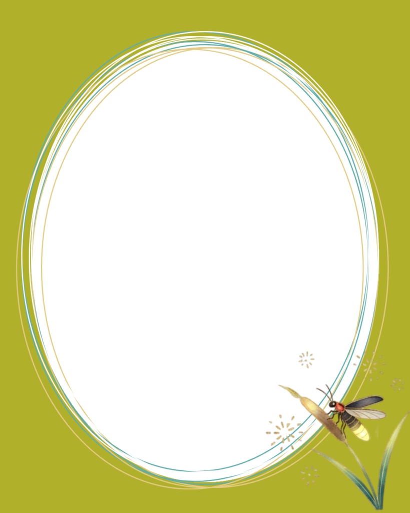 Summer Digital Frames | 30 Transparent PNG Frames