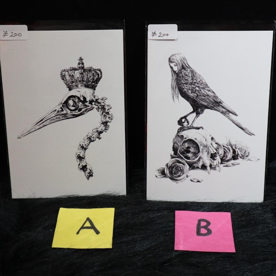 瀧川虚至 ポストカード各種