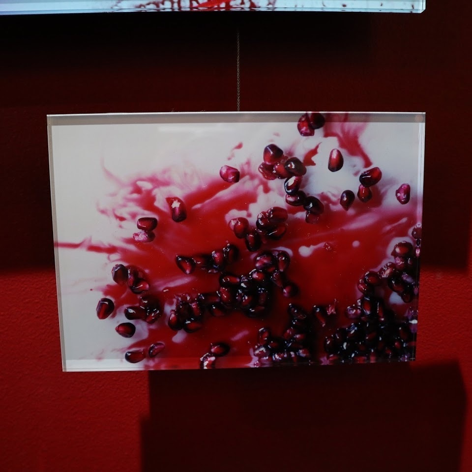 艶子 写真作品「Eating disorder」