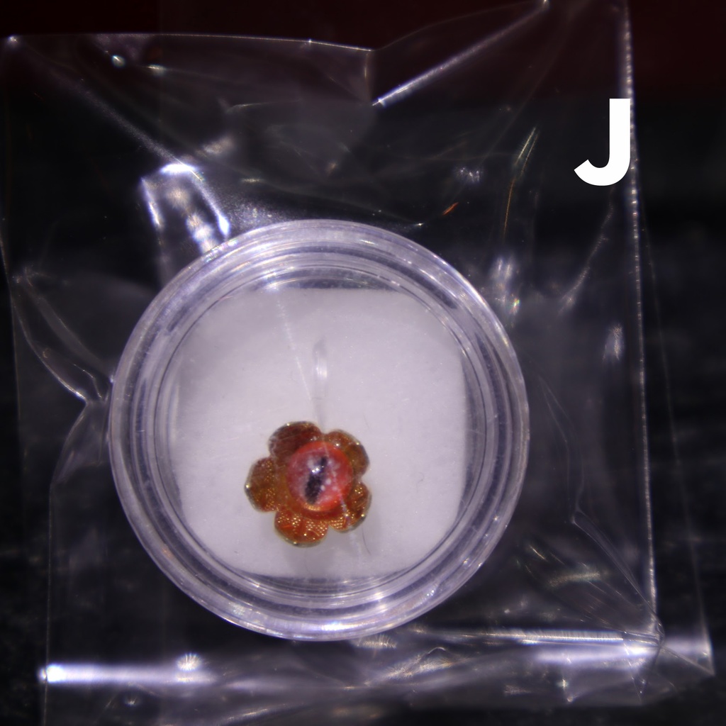 グラスアイピアス / 幻妖商会