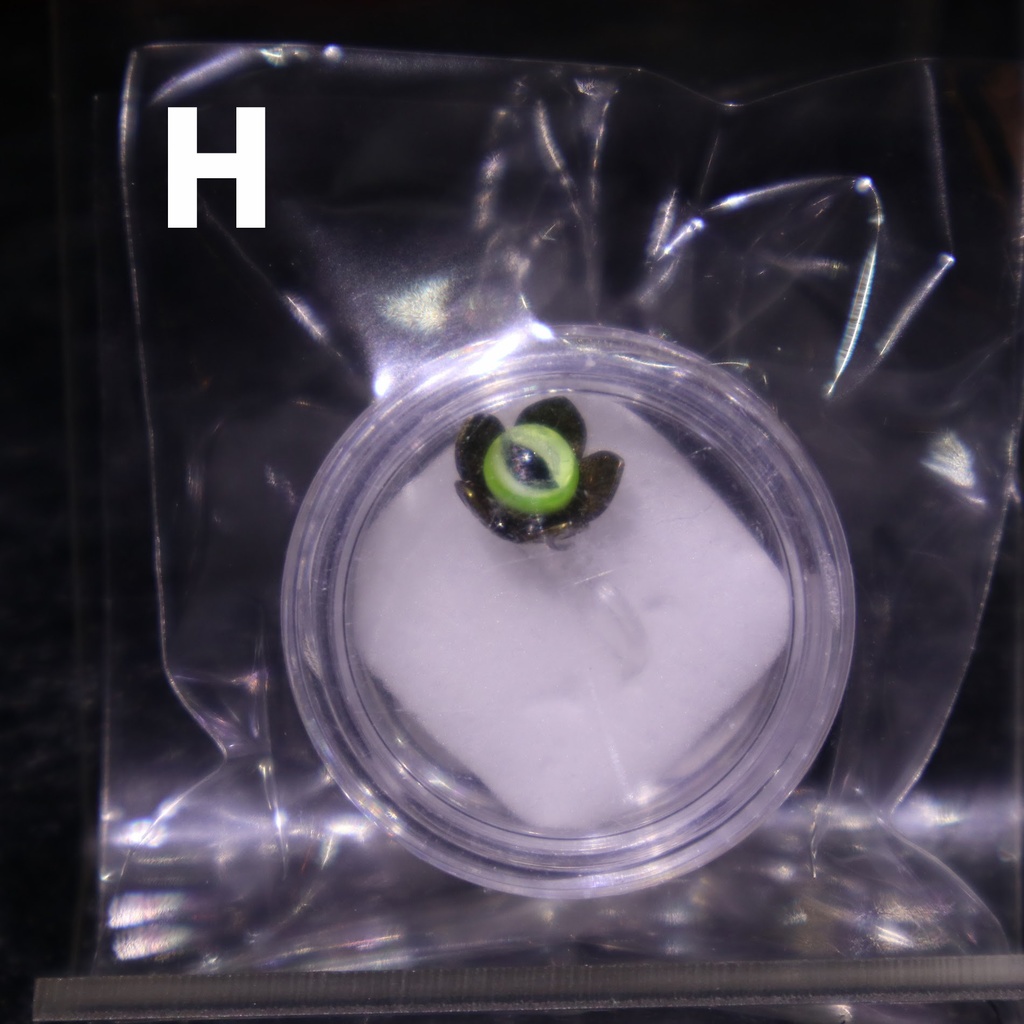 グラスアイピアス / 幻妖商会