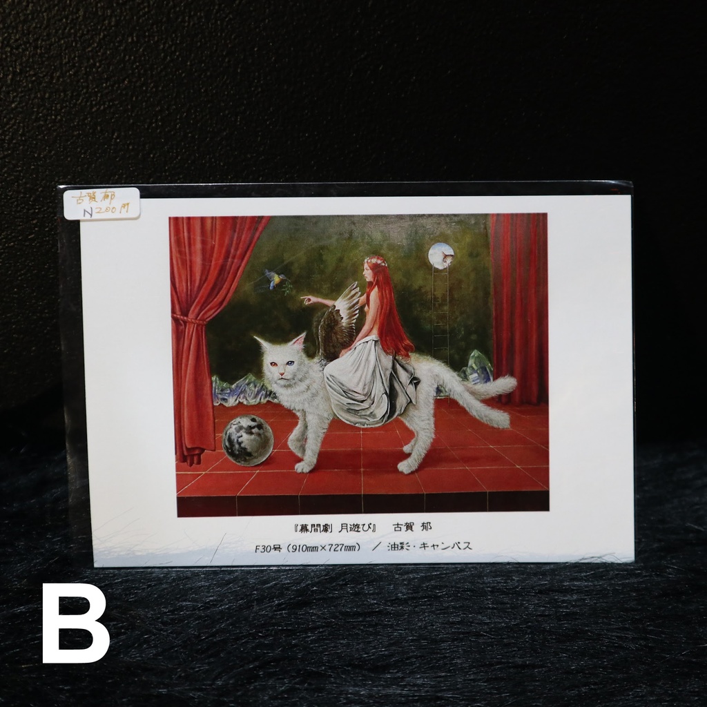 古賀郁 カード各種