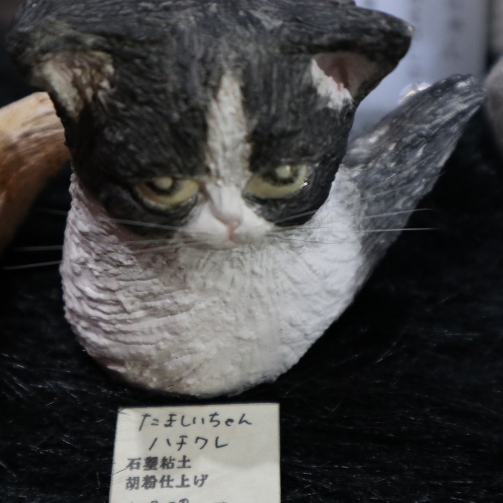 ひとさしゆび《たましいちゃん 猫》各種