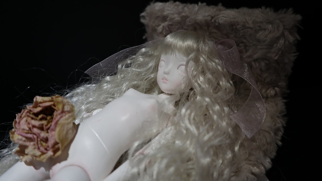 《横たわるアリス》 / Dollhouse Noah