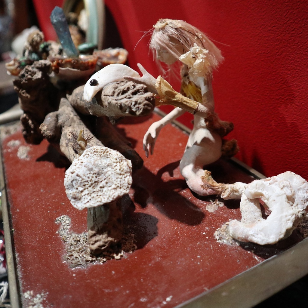 《Biosphere -バイオスフィア-》  / 由良瓏砂