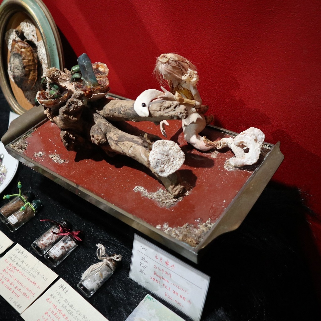 《Biosphere -バイオスフィア-》  / 由良瓏砂