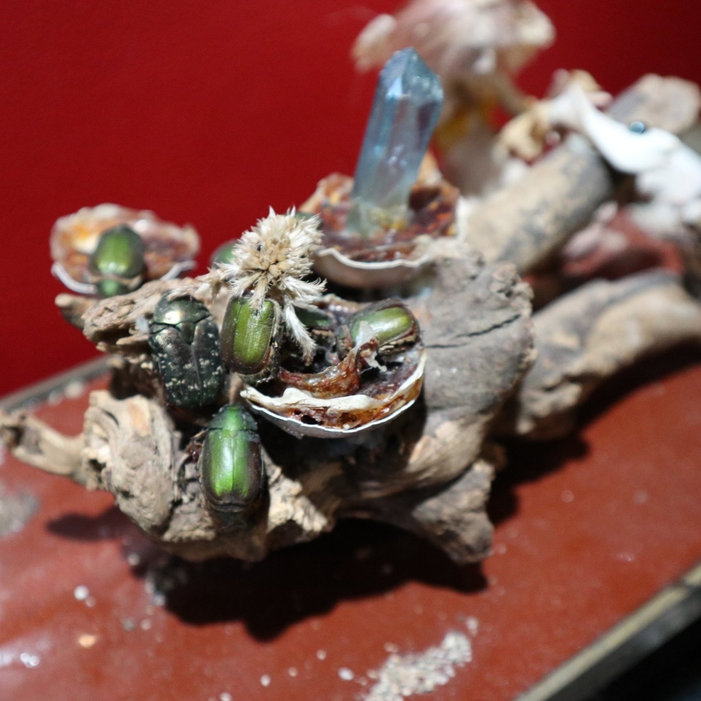 《Biosphere -バイオスフィア-》  / 由良瓏砂