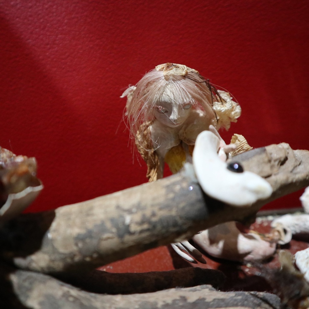 《Biosphere -バイオスフィア-》  / 由良瓏砂