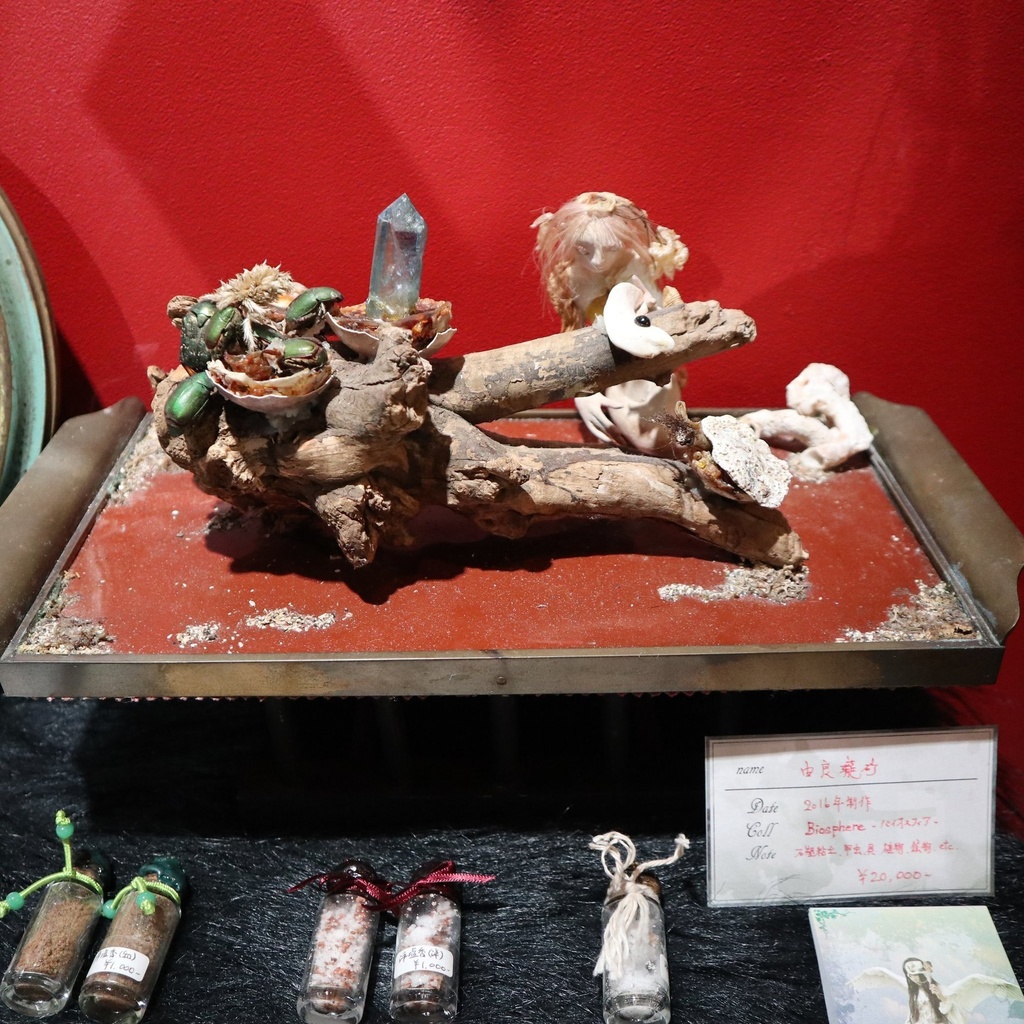 《Biosphere -バイオスフィア-》  / 由良瓏砂