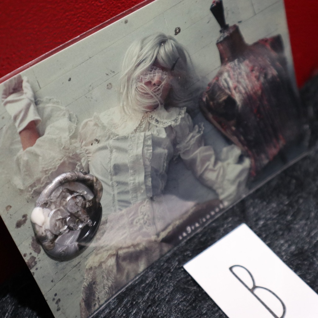 シーリング付フォトカード / eS.