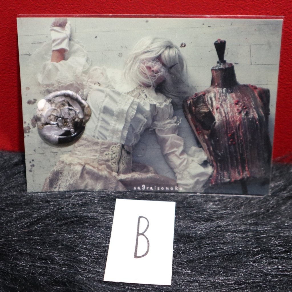 シーリング付フォトカード / eS.