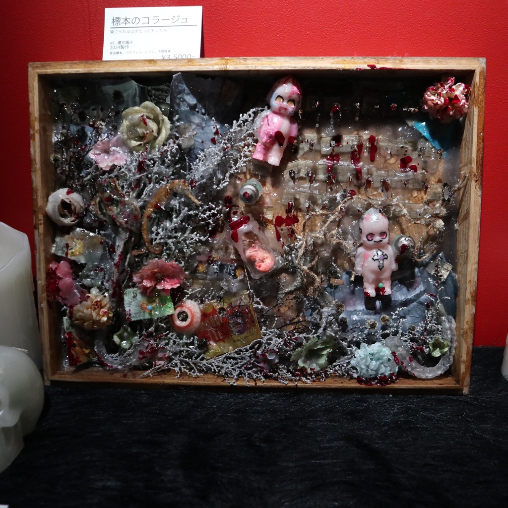 《標本のコラージュ》/ eS.