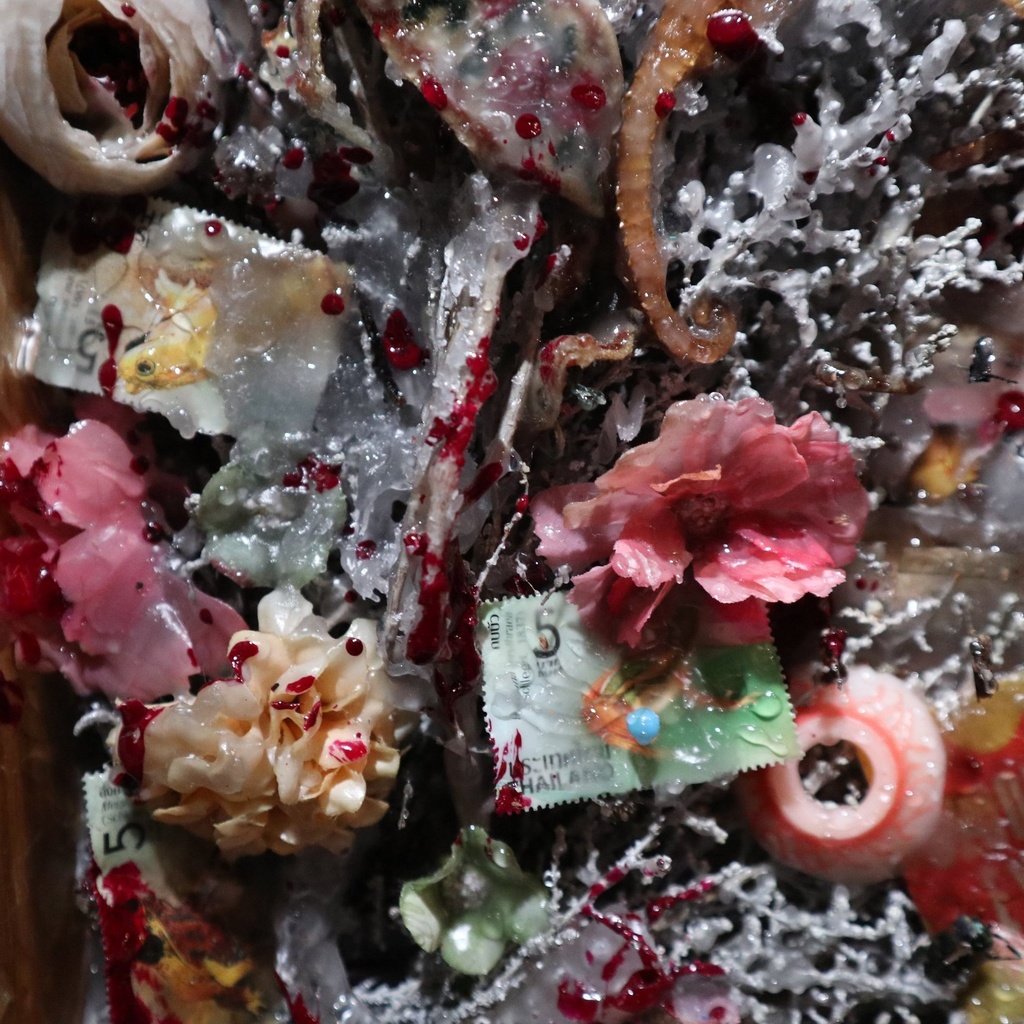 《標本のコラージュ》/ eS.