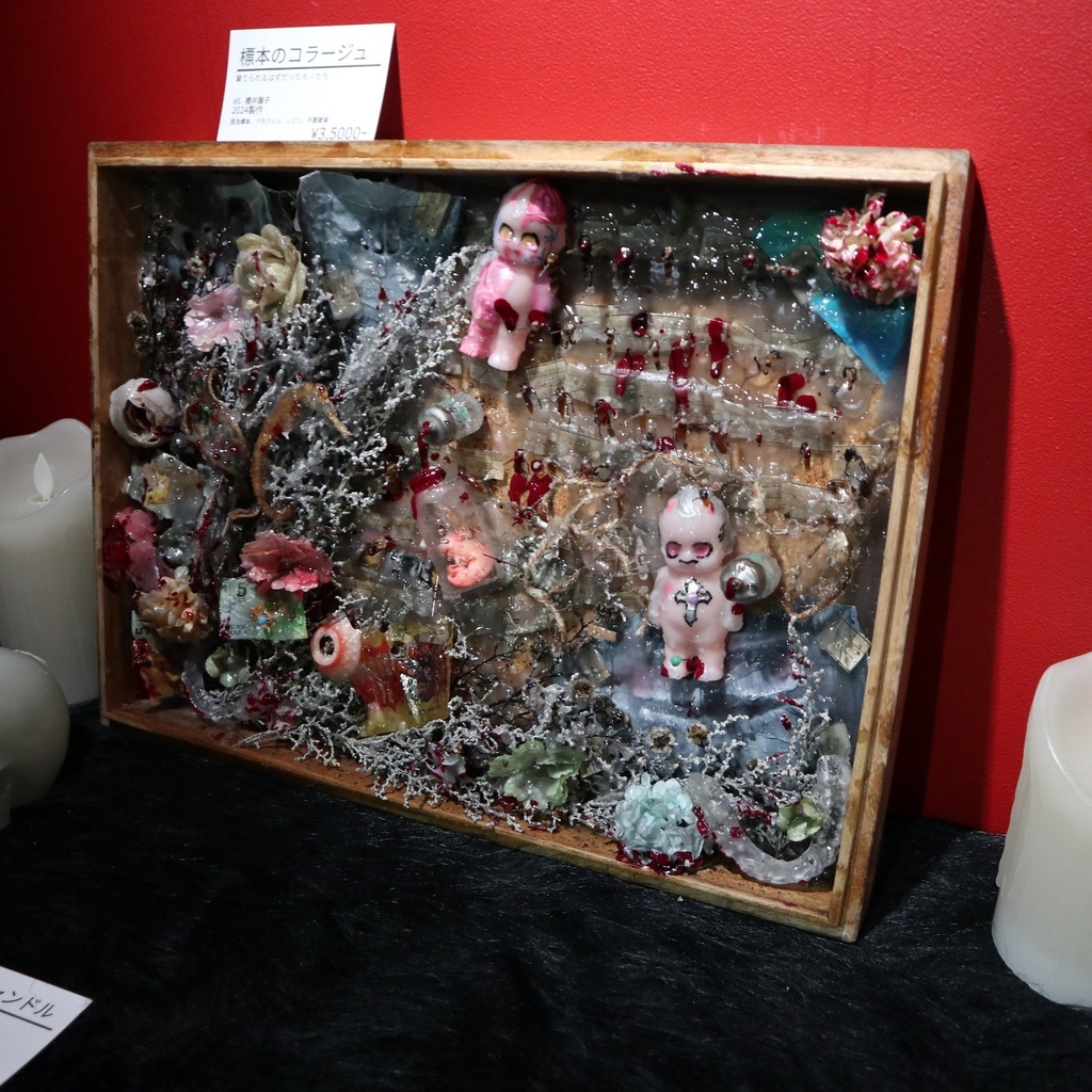 《標本のコラージュ》/ eS.