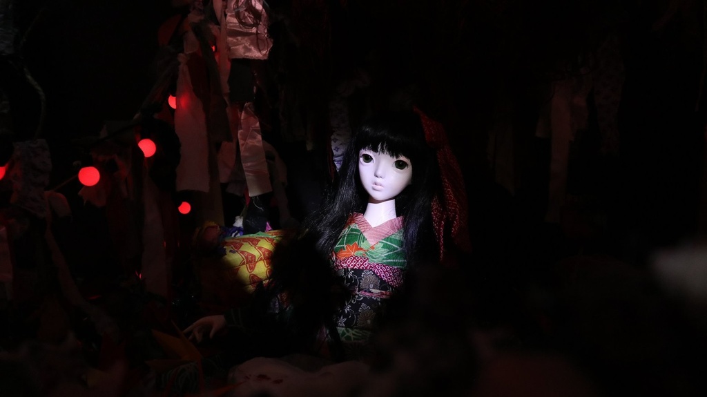 《鬼灯》/ Dollhouse Noah